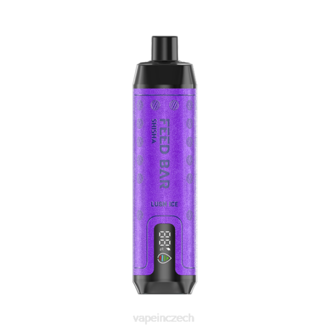 Vape Czech Republic - Vapsolo SHISHA jednorázová vapa svěží led RV28120