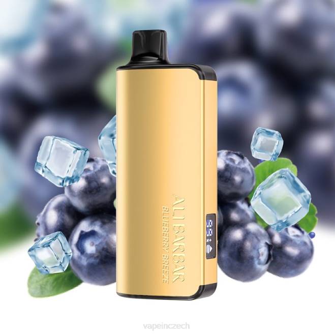 Vape In Czech - Alibarbar Ingot 20 000 jednorázových vaků borůvkový vánek RV2832