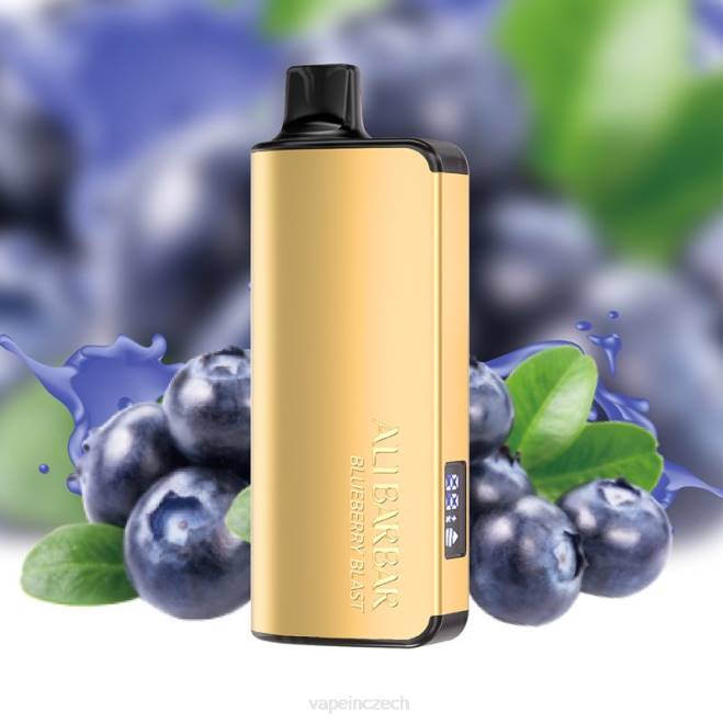 Vape Shop Brno - Alibarbar Ingot 20 000 jednorázových vaků borůvkový výbuch RV2831