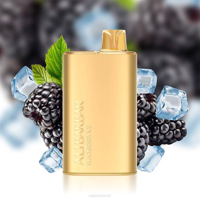 Vape Czech Republic - Alibarbar Rich 8000 jednorázových vapů borůvkový led RV283