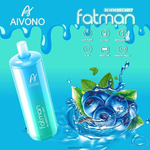 Vape Shop Brno - borůvková máta Aivono FATMAN 6800 L8HL2P22