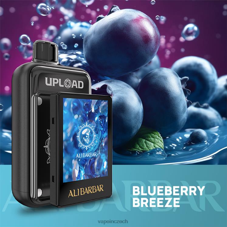 Vape In Czech - borůvkový vánek 6P24D20 Alibarbar nahrát