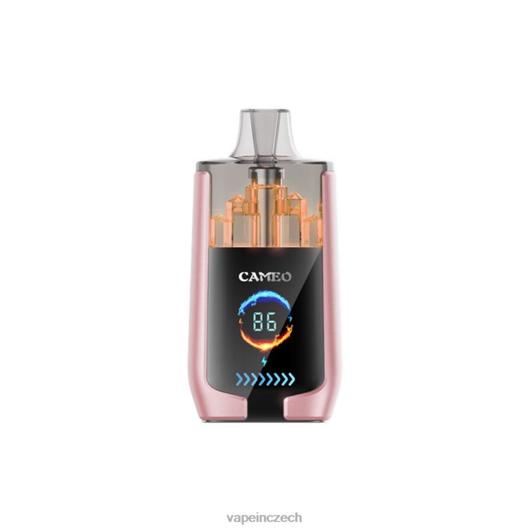 Vape Shop Brno - tropické ovoce X6N4019 LAVIE CAMEO 30 000 šluků